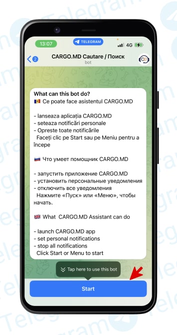 ChatBot Telegram CargoExchange