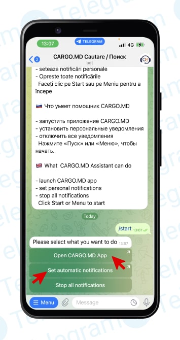 ChatBot Telegram CargoExchange