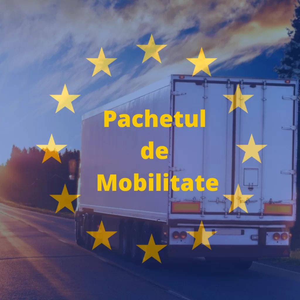 Cargo Md Cargo Exchange Bursa Transport Marfa